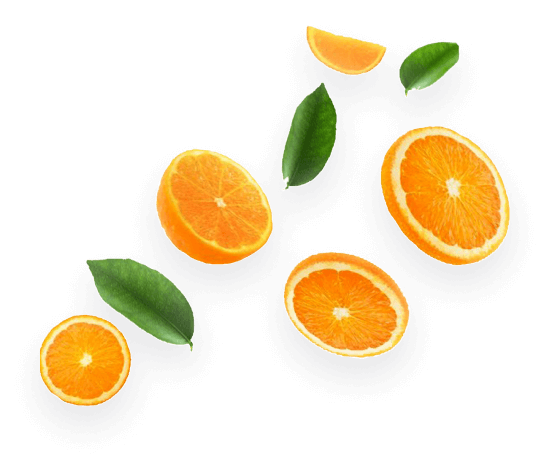 Sv Soft Solutions - Innovative App and Website Development Services